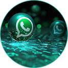 Agent Marketing WhatsApp